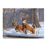 Royal & Langnickel Paint by Numbers - White Tails