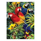 Royal & Langnickel Paint by Numbers - Majestic Macaws