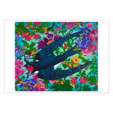 Pomegranate Notecards 20pk Billy Hassell: Into the Blue: Birds
