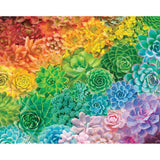 White Mountain 1000pc Puzzle - Succulent Rainbow