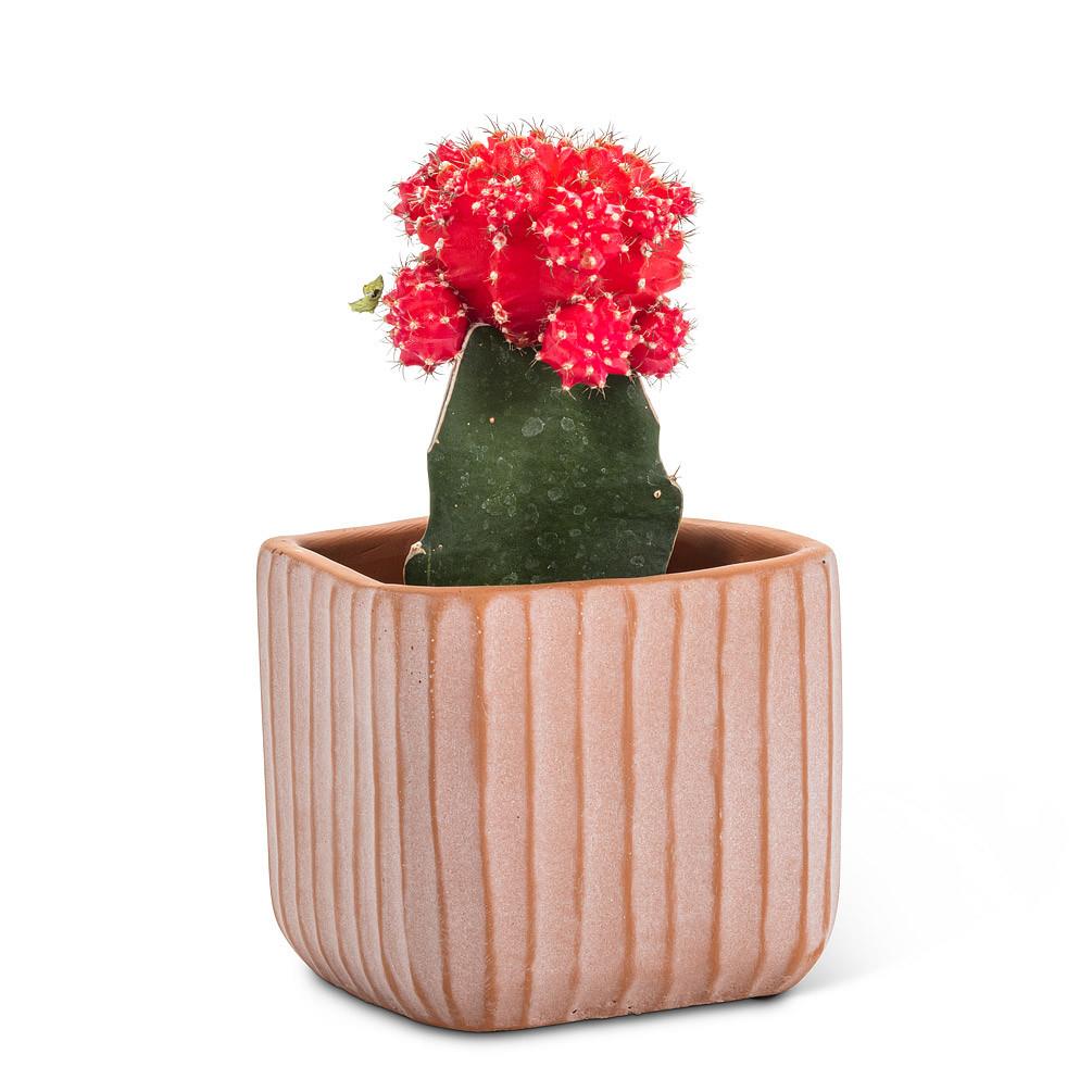 Abbott Planter - Small Ridged Look – Midoco Art & Office Supplies