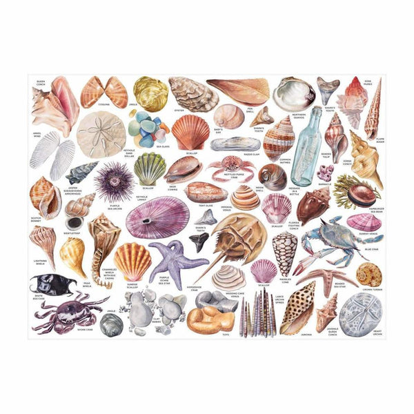 Galison 1000pc Puzzle - The Beachcomber's Companion