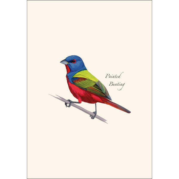 Earth Sky + Water Notecards 8pk - Painted Bunting