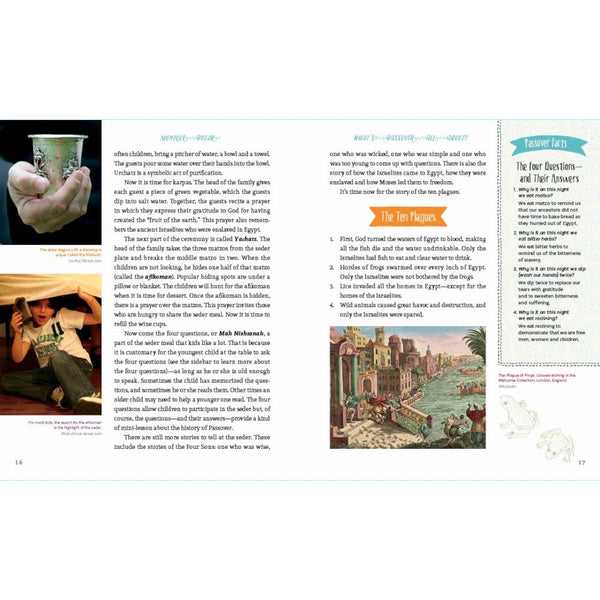 Passover: Festival of Freedom by Monique Polak