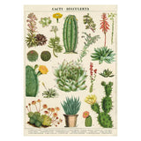Cavallini Vintage Art Poster - Cacti & Succulents (Ó)