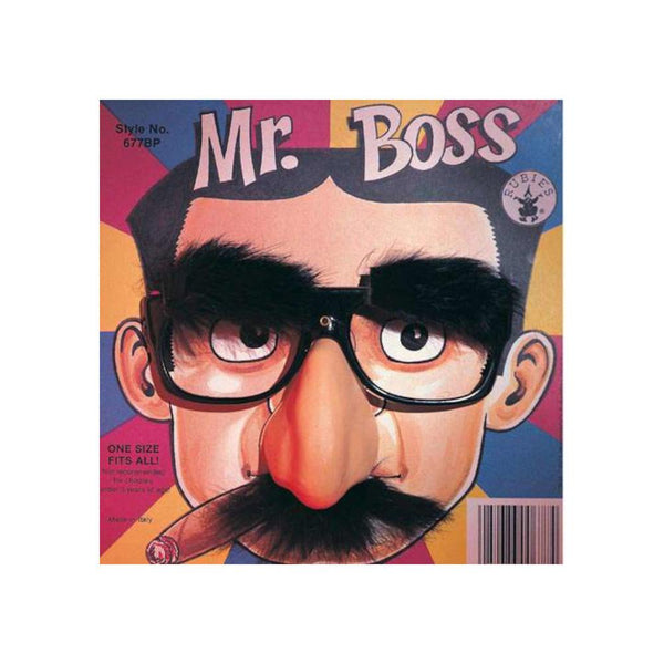 Rubies Mr Boss Glasses