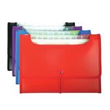 Windowfile 13-Pocket Expanding File Letter-Sized - Assorted Colours