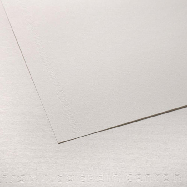 Canson C à Grain Drawing Sheet, 19.5" x 25.5", 138lb / 224g