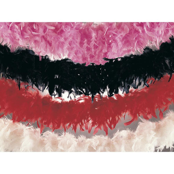 Rubies Feather Boas - Assorted Colours