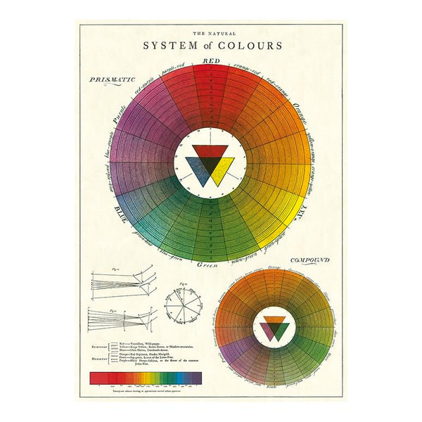 Cavallini Vintage Art Poster - Colour Wheel (Ó)