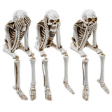 CTG Jointed Shelf Sitter Skeleton - Assorted Styles