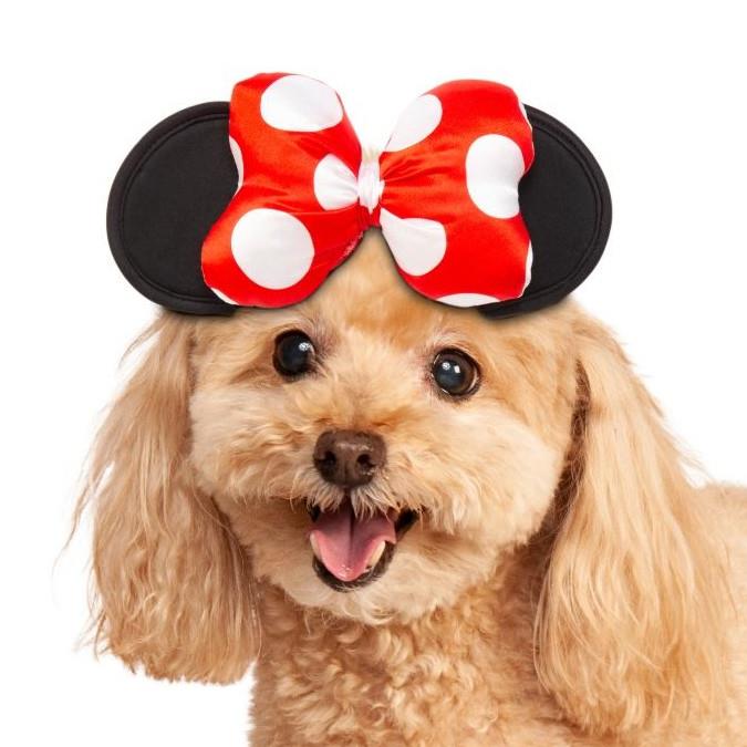 Dog minnie hot sale mouse costume