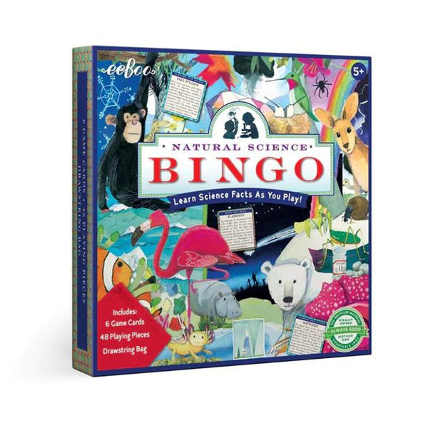 eeBoo Earth Science Bingo