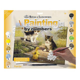 Royal & Langnickel Paint by Numbers - Pond Pals