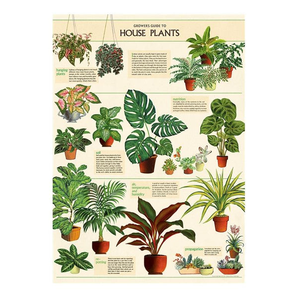 Cavallini Vintage Art Poster - House Plants (Ó)