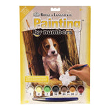 Royal & Langnickel Paint by Numbers - Beagle Puppy
