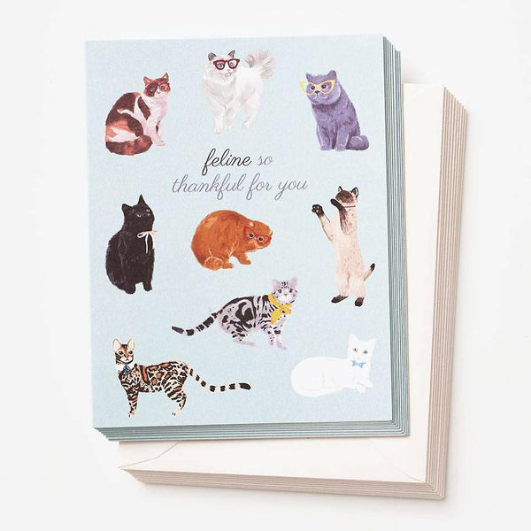 Paper Source Thank You Notecards 10pk - Feline Thankful