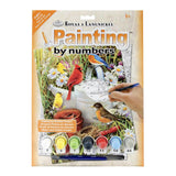 Royal & Langnickel Paint by Numbers - Garden Birds