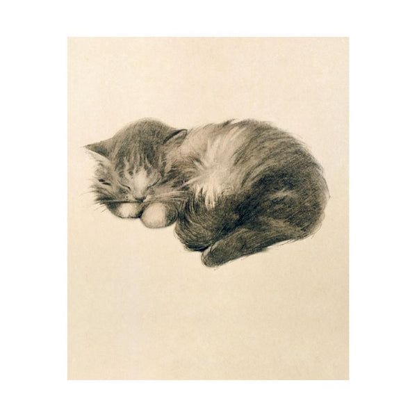 Museums & Galleries Greeting Card, Kitten