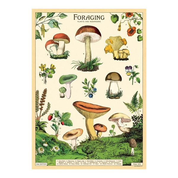 Cavallini Vintage Art Poster - Mushroom Foraging (Ó)