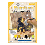 Royal & Langnickel Paint by Numbers - Dachshund Puppy
