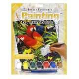 Royal & Langnickel Paint by Numbers - Majestic Macaws