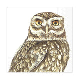 Abbott Beverage Napkins 20pk - Owl