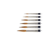 Winsor & Newton Professional Watercolour Sable Brushes - Pointed Round