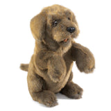 Folkmanis Hand Puppet - Sitting Dog