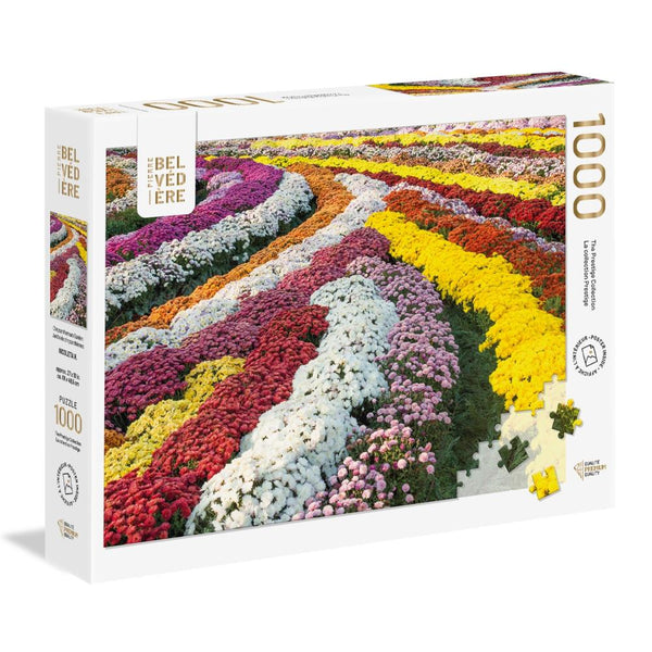 Pierre Belvedere 1000pc Puzzle - Chrysanthemum Garden