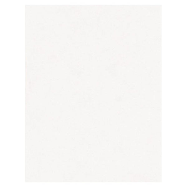 North American Paper Inc. 22" x 28" Poster Board - White