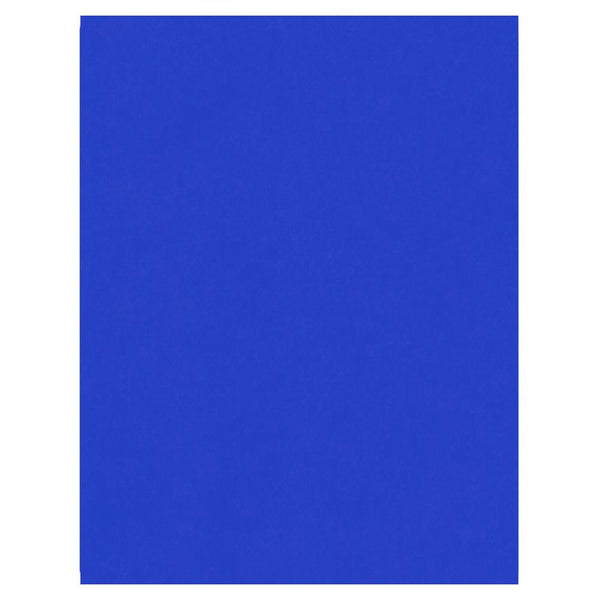 North American Paper Inc. 22" x 28" Poster Board - Dark Blue