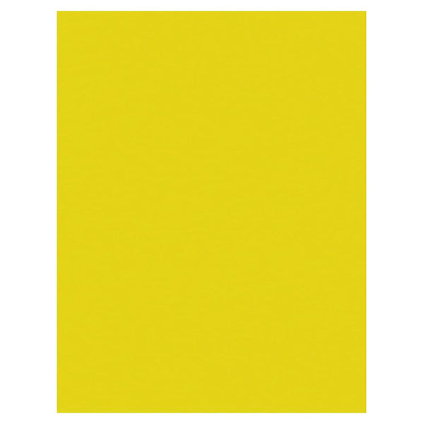 North American Paper Inc. 22" x 28" Poster Board - Lemon Yellow