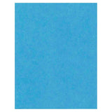 North American Paper Inc. 22" x 28" Poster Board - Light Blue