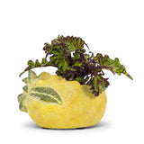 Abbott Planter - Lemon-Shaped