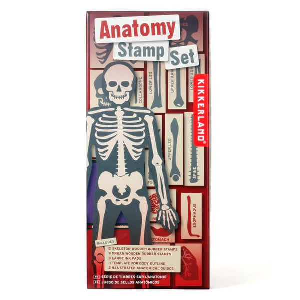 Kikkerland Stamp Set - Anatomy